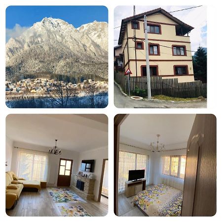 B House Bușteni Dış mekan fotoğraf