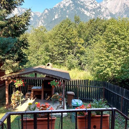 B House Bușteni Dış mekan fotoğraf