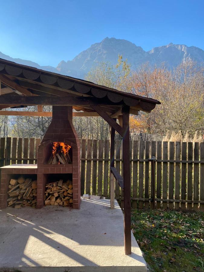 B House Bușteni Dış mekan fotoğraf