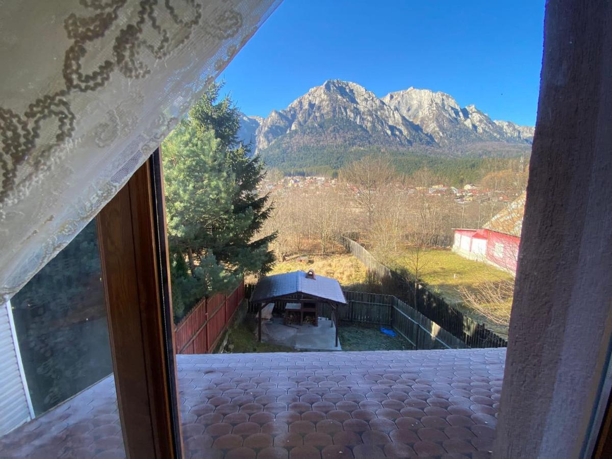 B House Bușteni Dış mekan fotoğraf