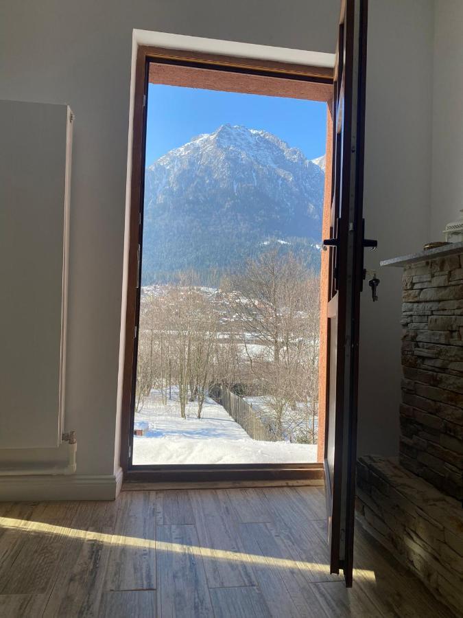B House Bușteni Dış mekan fotoğraf