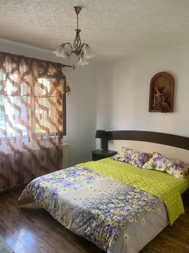 B House Bușteni Dış mekan fotoğraf