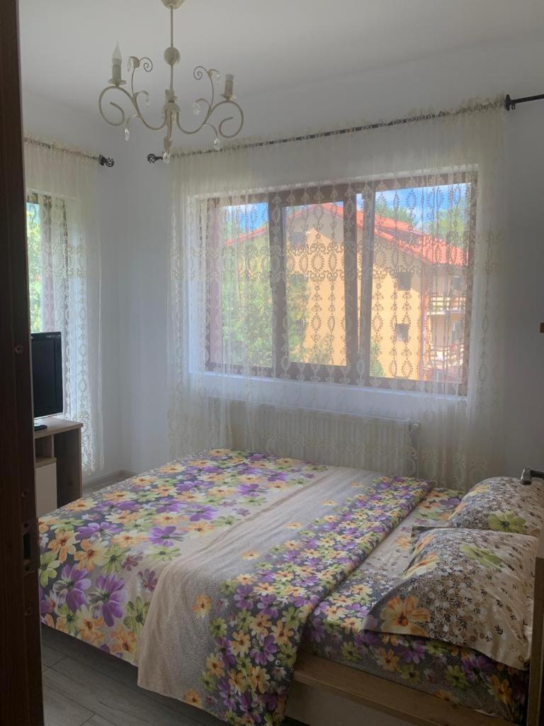 B House Bușteni Dış mekan fotoğraf