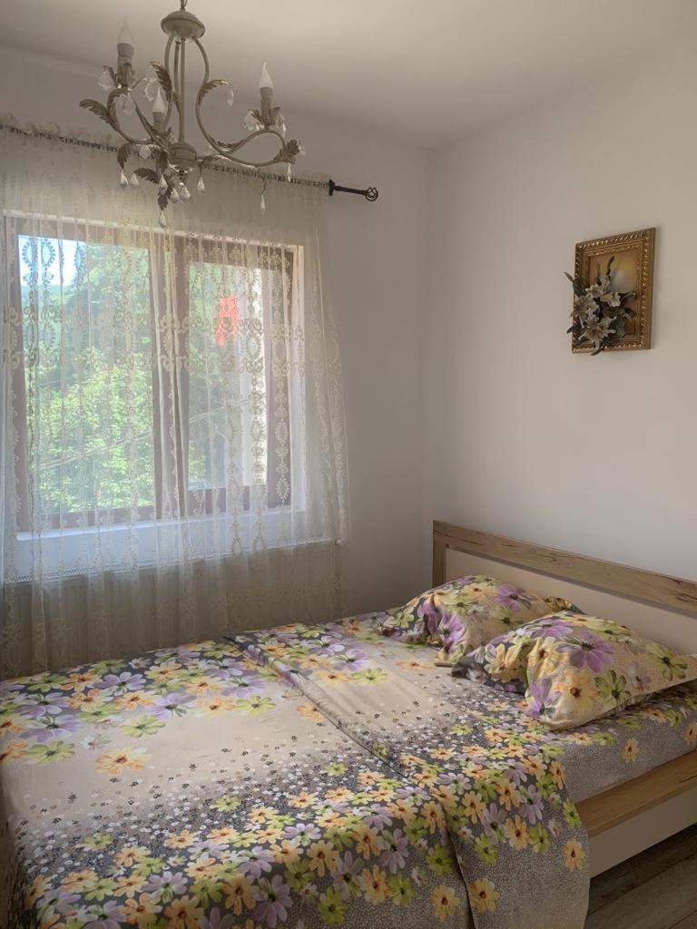 B House Bușteni Dış mekan fotoğraf