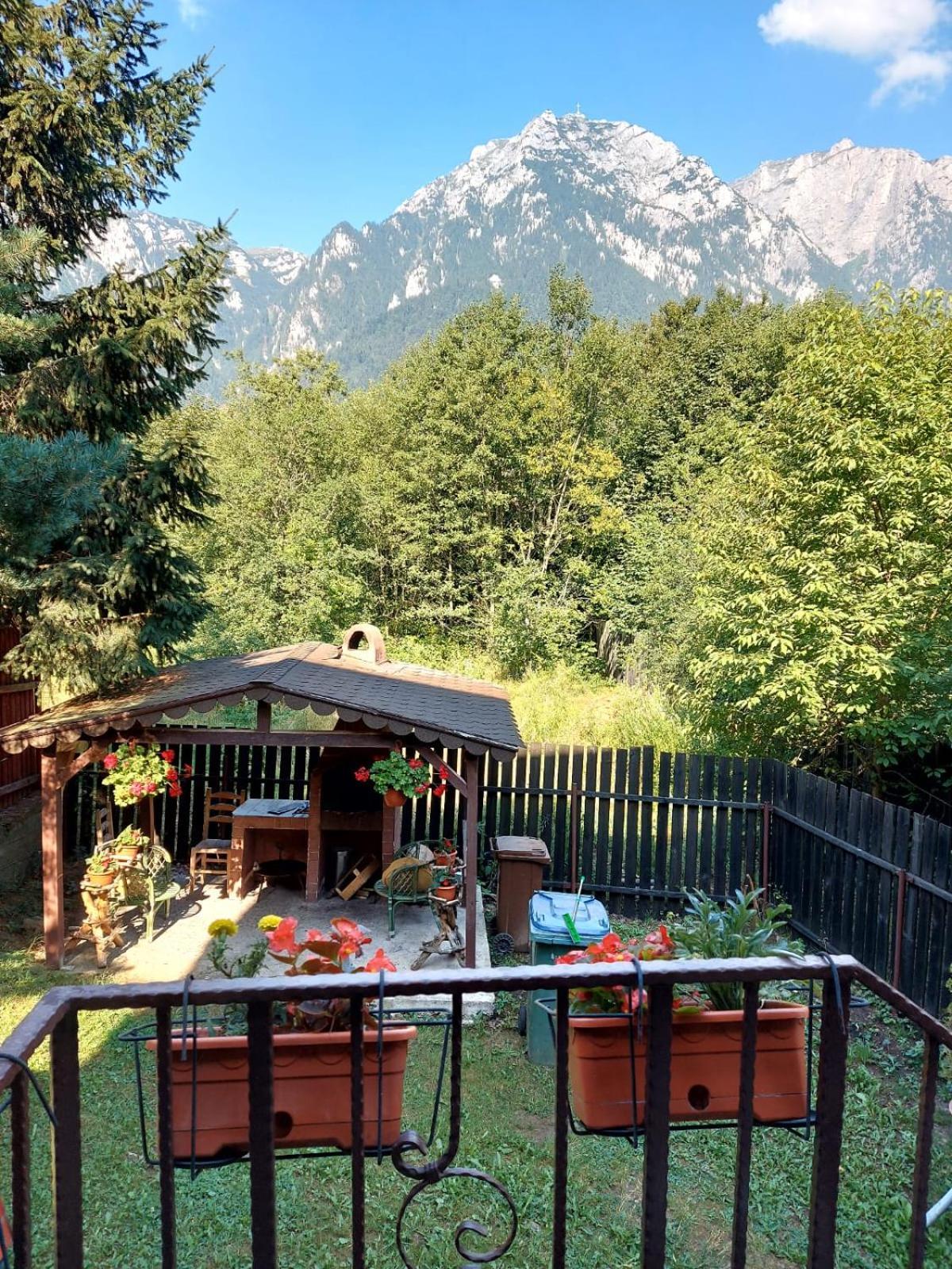 B House Bușteni Dış mekan fotoğraf